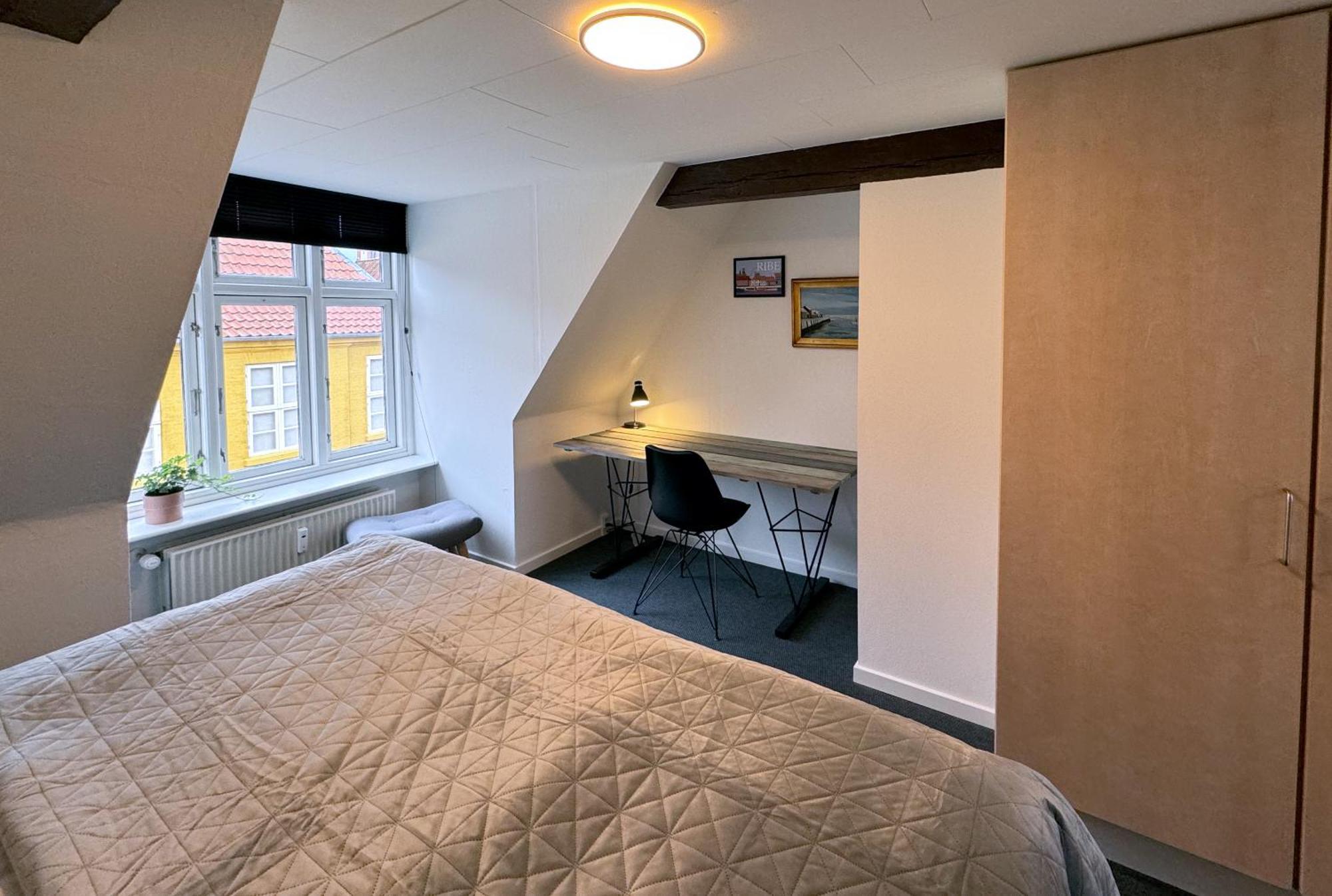 Bed and Breakfast Lejlighed Med Et Eller To Separate Sovevaerelser Ribe Exterior foto